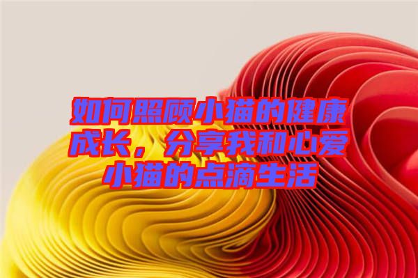 如何照顧小貓的健康成長，分享我和心愛小貓的點滴生活