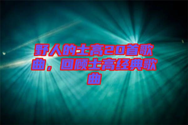 野人的士高20首歌曲，回顧士高經(jīng)典歌曲