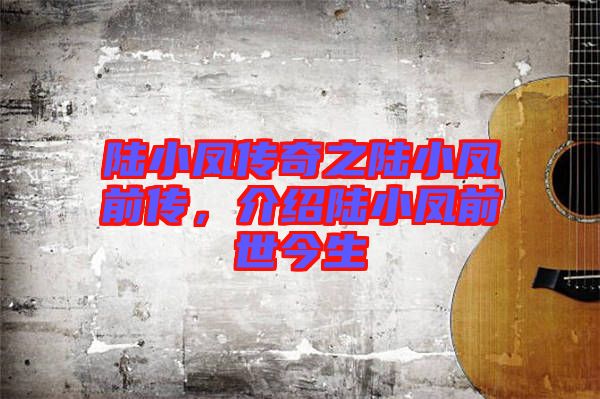 陸小鳳傳奇之陸小鳳前傳，介紹陸小鳳前世今生