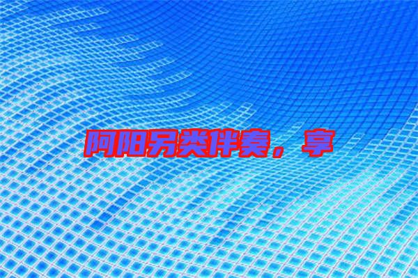 阿陽另類伴奏，享