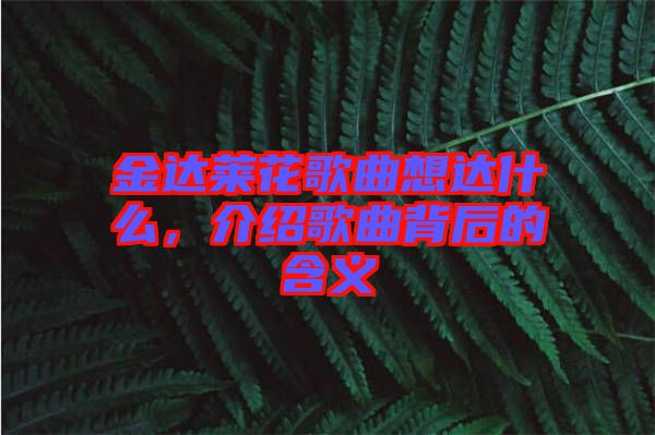 金達(dá)萊花歌曲想達(dá)什么，介紹歌曲背后的含義